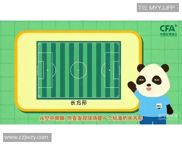 足球新手必看：从零基础到场上高手的全面入门指南